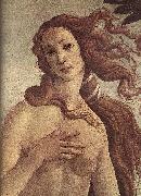 BOTTICELLI, Sandro The Birth of Venus (detail) ff oil painting